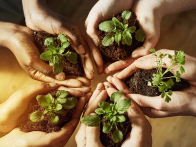 AMDAL Jadi Instrumen Penting Cegah Kerusakan Lingkungan Akibat Proyek Pembangunan AMDAL Jadi Instrumen Penting Cegah Kerusakan Lingkungan Akibat Proyek Pembangunan