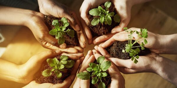 Warga Kota Blitar Gencarkan Gerakan “Blitar Hijau”, Bukti Cinta untuk Bumi Warga Kota Blitar Gencarkan Gerakan “Blitar Hijau”, Bukti Cinta untuk Bumi