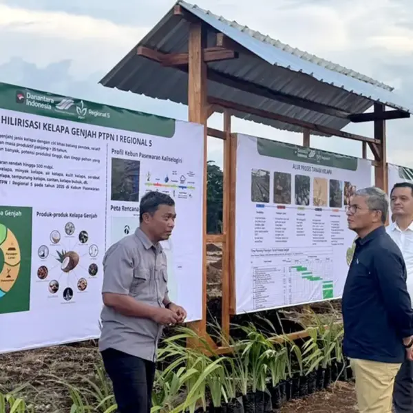 PTPN I Dorong Hilirisasi Perkebunan Lewat Demplot Kelapa Genjah di Banyuwangi PTPN I Dorong Hilirisasi Perkebunan Lewat Demplot Kelapa Genjah di Banyuwangi